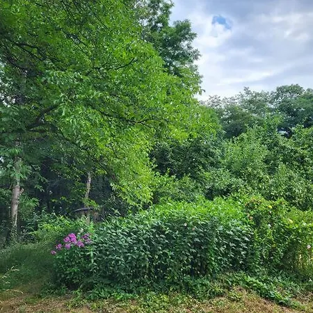 בית נופש Maringotka U Ripu