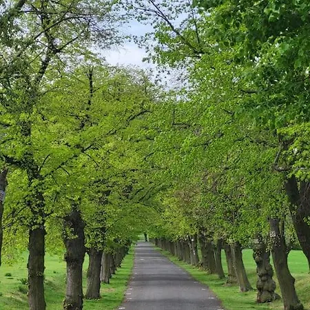 Maringotka U Ripu * Krabcice